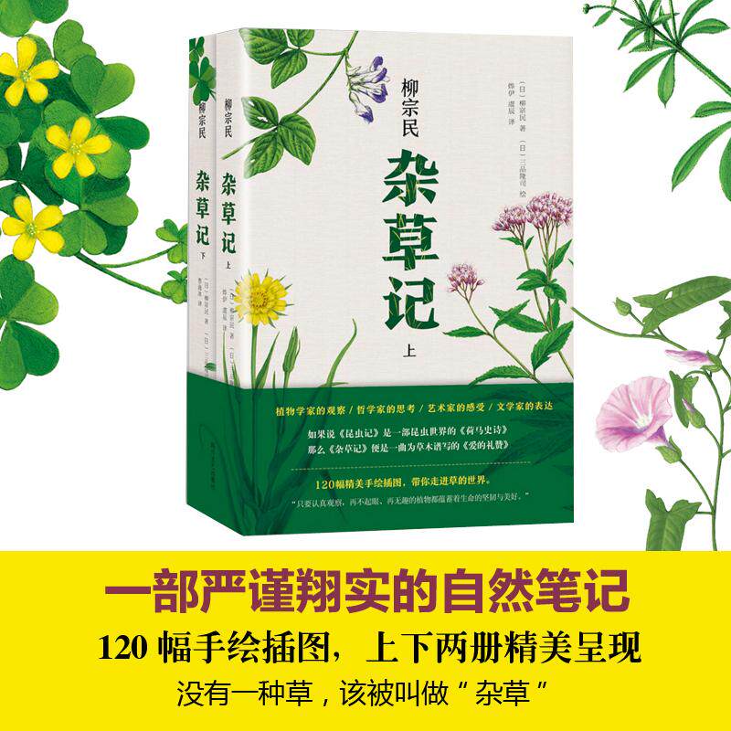 【保正版】杂草记烨伊虞辰曹逸冰译柳宗民三品隆司绘四川文艺出版社9787541145711