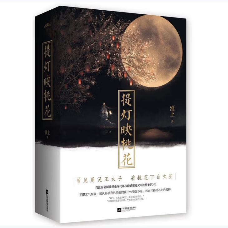 提灯映桃花上下淮上著江苏文艺出版社9787539996875C