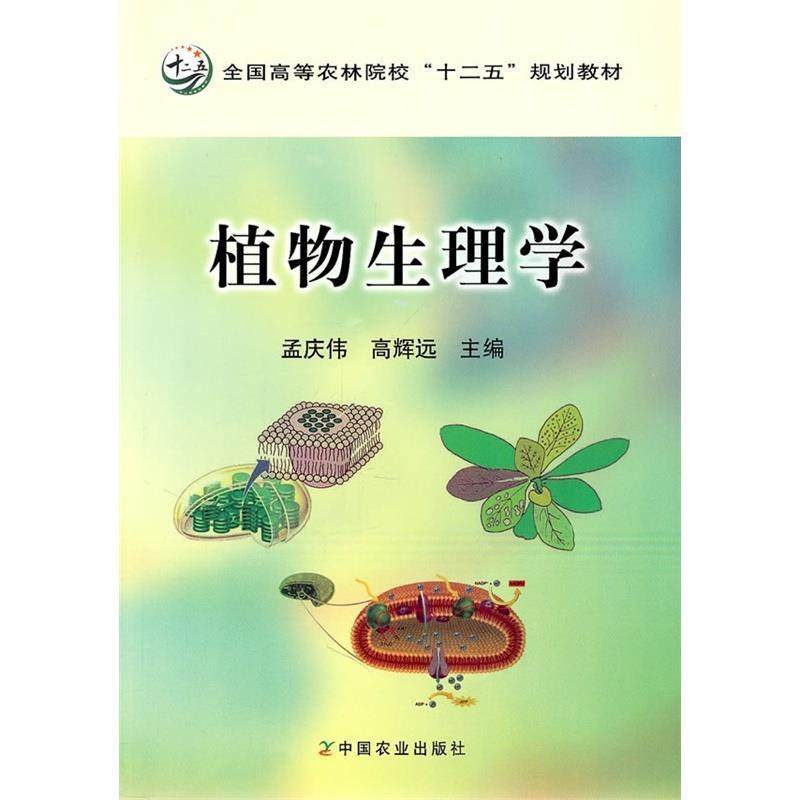 【正版书籍】全国高等农林院校十二五规划教材植物生理学孟庆伟高辉远著孟庆伟高辉远中国农业出版社9787109152465