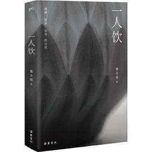 日常董全斌岳麓书社9787553813714 一人饮做陶饮茶和思考 正版 图书