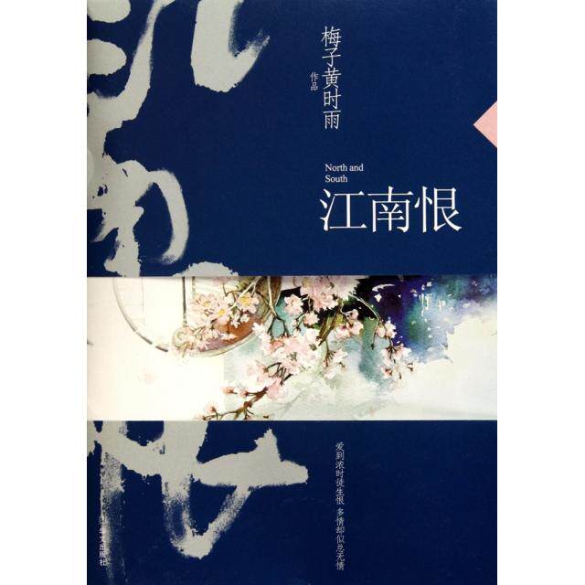 【正版】江南恨梅子黄时雨华文出版社