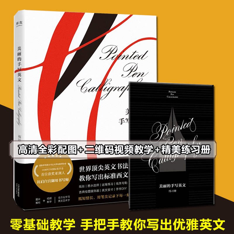 【正版图书】美丽的手写英文雨泣艺术天津人民出版社
