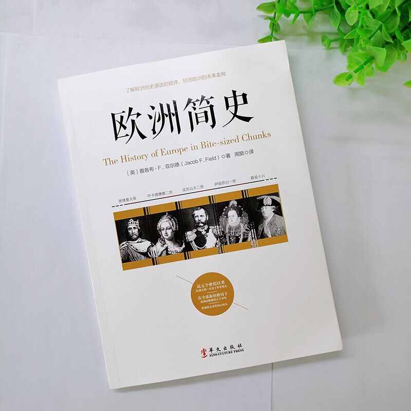 【正版图书】欧洲简史英雅各布F菲尔德华文出版社9787507553635