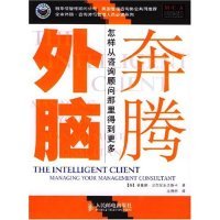 奔腾外脑怎样从咨询顾问那里得到更多王德忠菲奥娜·切尔尼亚夫斯卡译人民邮电出版 图书 社9787115122537 正版