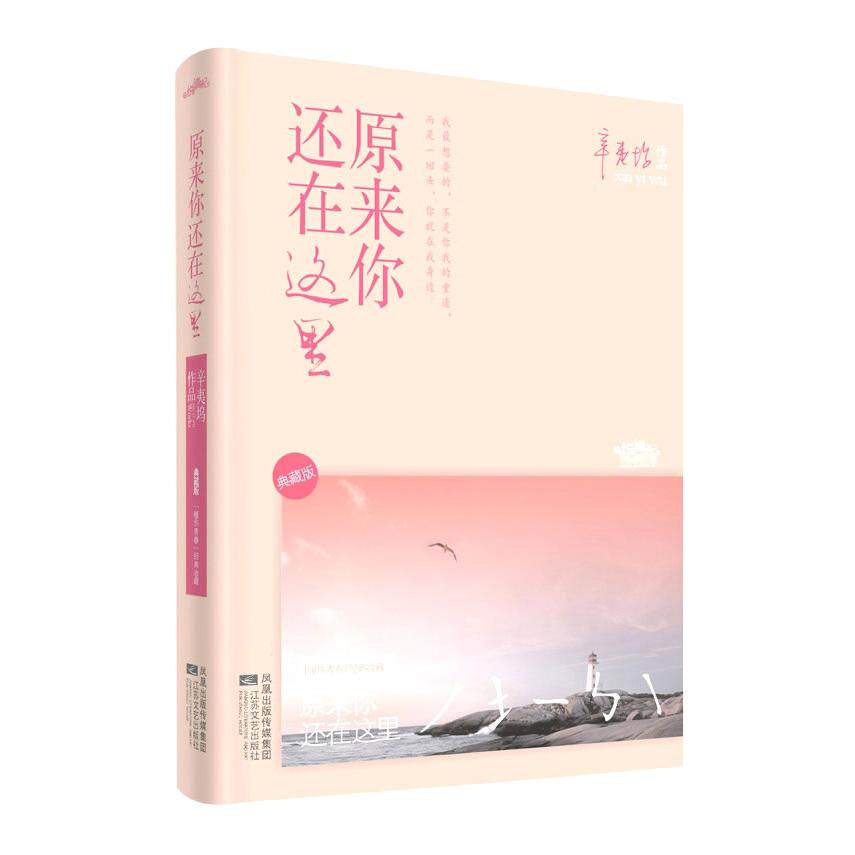 正版书籍原来你还在这里 辛夷坞著 江苏文艺出版社