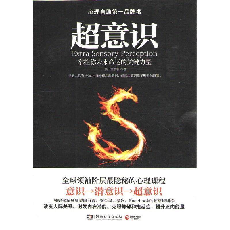 【保正版】超意识美菲尔图 著湖南文艺出版社