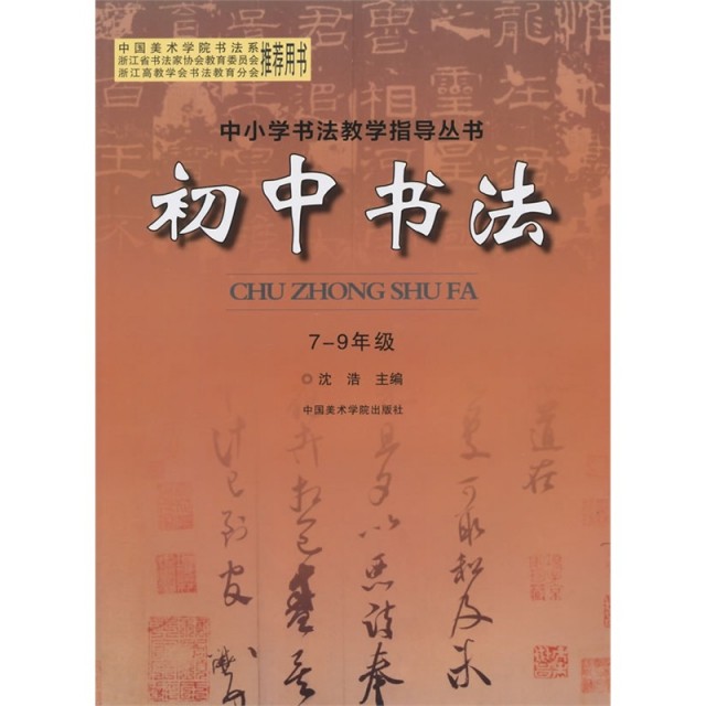 【正版书籍】中小学书法教学指导丛书初中书法沈浩中国美术学院出版社