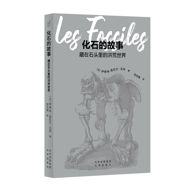 【正版图书】化石的故事藏在石头里的洪荒世界法伊维特盖拉尔瓦利著著法伊维特盖拉尔瓦利著译北京出版社