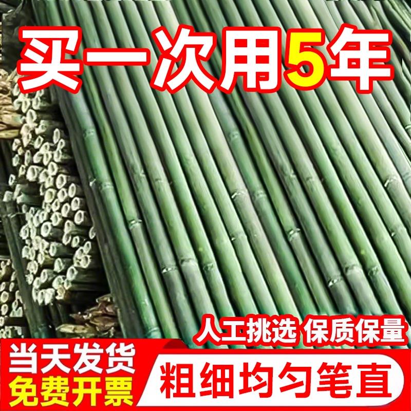 竹竿菜园搭架蔬菜黄瓜豆角番茄爬藤架支撑杆防腐小竹子细竹杆