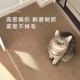 入户门仿剑麻地垫玄关高级家用地毯防滑耐脏进门口脚垫可裁剪门垫