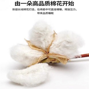 助睡眠 枕头枕套带枕芯可拆洗学生宿舍单人家用男女一对装