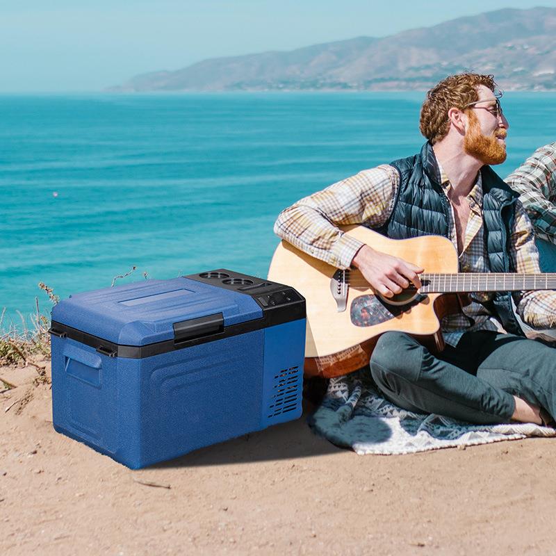 冰虎压缩机车载冰箱车家两用冷冻冷藏12v24v便携WT25宿舍小冰箱