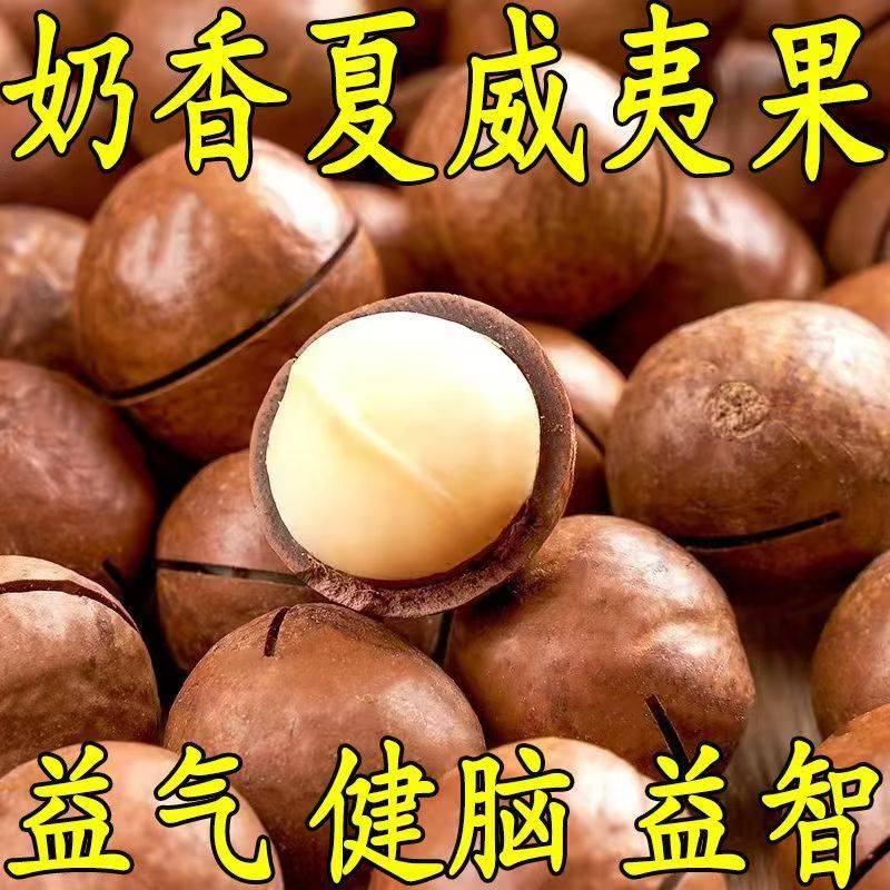 新货夏威夷果坚果500g含包装奶油味特大颗粒干果整箱散装零食