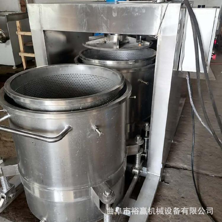 大型芋头生姜压榨机全自动柑橘番茄果汁取汁机不锈钢压榨设备
