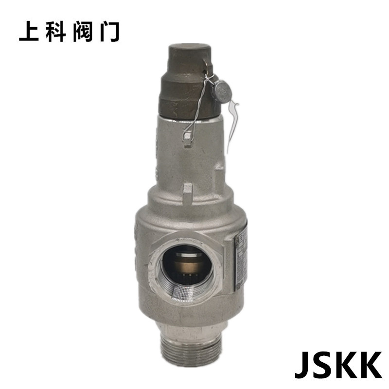 低温安全阀泄压阀液氮不锈钢螺纹弹簧全启式可调节自动DA22F-40P