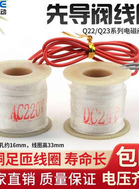先导阀线圈 Q23XD-2L Q22XD-2L电磁阀线圈 AC220V AC36V DC24V