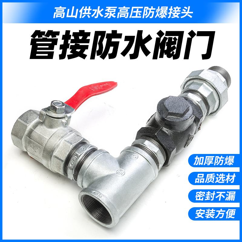 高山供水泵高压防爆接头镀锌管管接防水阀门止回阀2寸转其他内丝