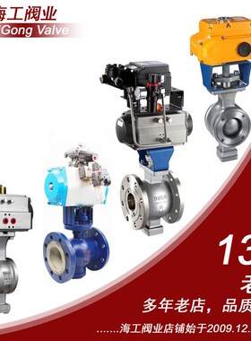 气动v型球阀304电316L粉料调节陶瓷偏心半浆液纤维304DQVTM控制阀