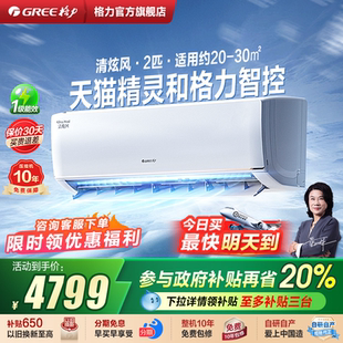 格力空调官方新一级能效2匹变频冷暖大挂机客厅卧室挂壁机清炫风