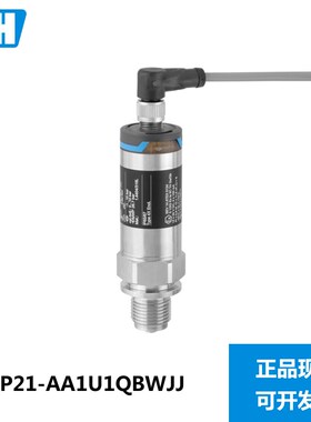 E+H 压力变送器PMP21AA1U1QBWJJPMP211X36/0 Endress+Hauser