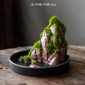 微景观摆件陶瓷手工艺吸水假山水景创意摆件装 饰盆景桌面造景绿植