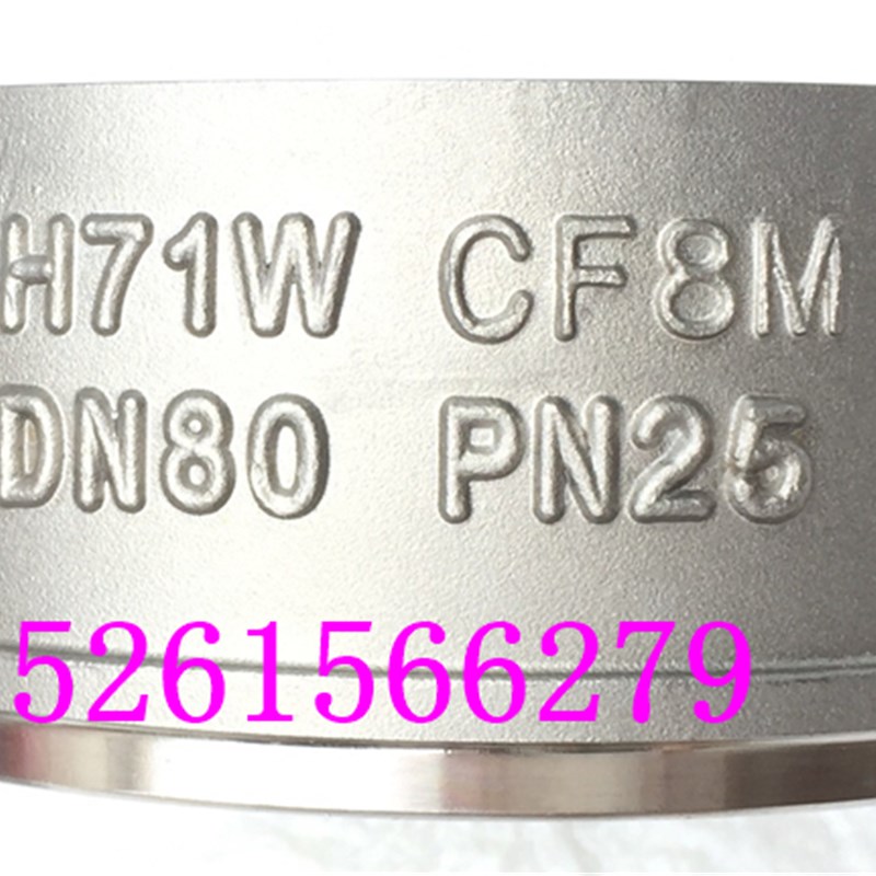 H71W-25R不锈钢对夹式止回阀DN15-200单向逆止阀316弹簧式止回阀