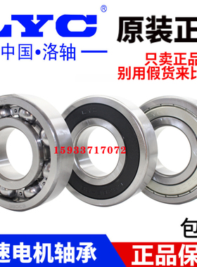 原装LYC洛阳轴承6403 6404 6405 6406 6407 6408 6409 64102RS 2Z