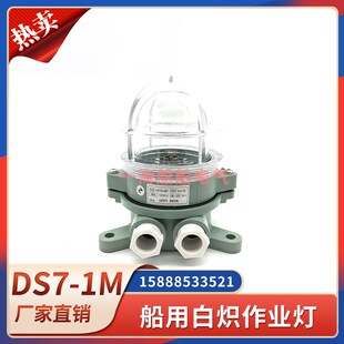 船用塑料白炽作业灯DS7-1M合成树脂防水吸顶式舱顶灯明绿红24V15W