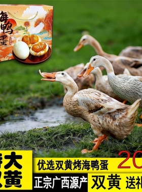广西正宗红树滩特产双黄咸鸭蛋礼盒双黄饱满流油礼盒装送礼整箱