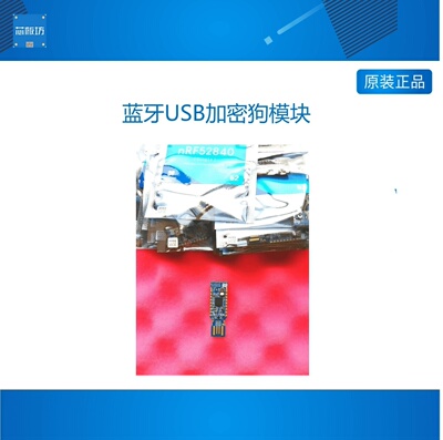 nRF52840-Dongle Nordic USB Dongle PCA10059蓝牙USB加密狗模块