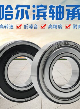 不锈钢轴承SR8ZZ/RS SR10ZZ/RS SR12ZZ/RS SR14ZZ/RS SR16ZZ/RS