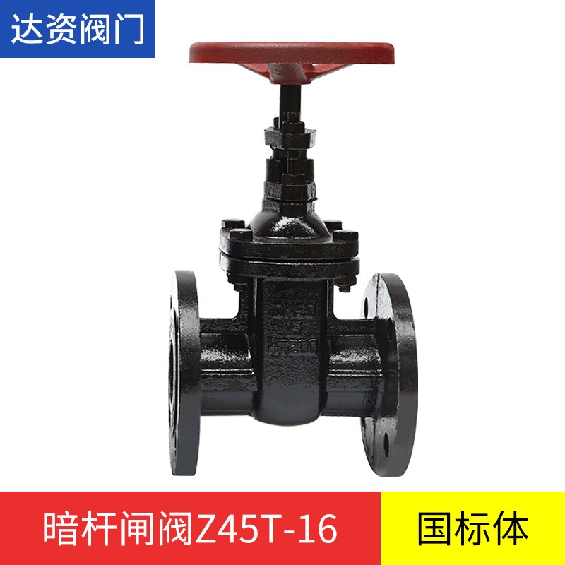 Z45T-16闸阀新式闸阀法兰闸阀暗杆闸阀DN506580100