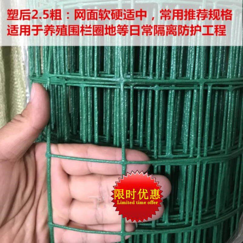 防护篱笆养羊果树细网塑料网加高护栏围栏丝网家别墅户外隔断铁丝
