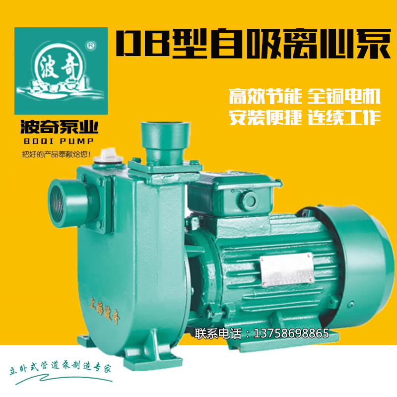 上海波奇DB型自吸离心泵 大流量自吸泵1/1.5/2寸抽水泵高扬程水泵