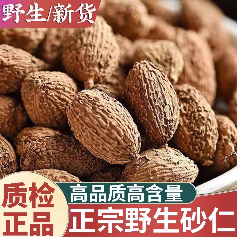 正品野生砂仁中药材500g正宗春砂仁毛砂仁煲汤泡水砂仁粉香料调料
