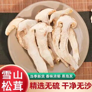25新野生松茸干片500g正宗云南特产雪山松茸菌干货松茸干货野生菌