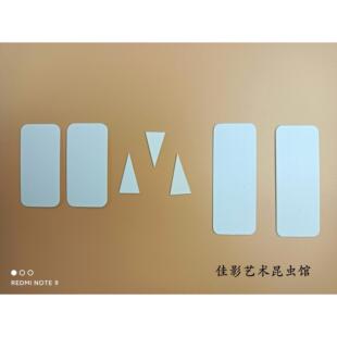 昆虫插针卡片三角纸长方形卡纸甲虫吉丁蚂蚁小昆虫粘贴纸约100片