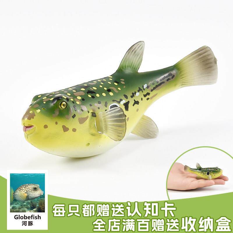 儿童实心仿真海洋动物玩具模型河鲀河豚艇巴乖鱼腊头认知礼品摆件