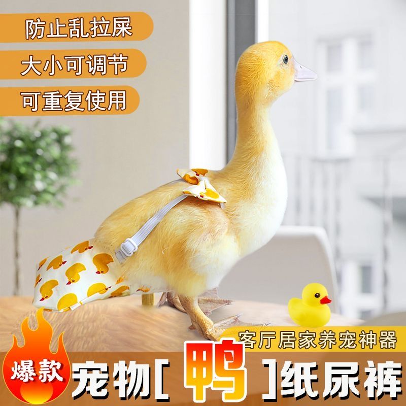 温柔小鸭子屎兜柯尔鸭尿不湿宠物