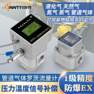 气体流量计管道液化天然气流量表氧氮蒸空汽各种气体电子数显罗茨