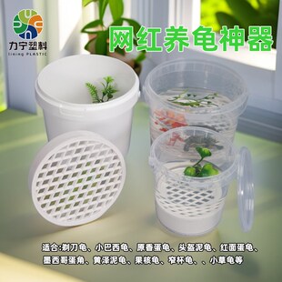 懒人养龟缸乌龟隔离盒养龟神器养龟桶迷你乌龟缸龟苗桶龟苗发色盒