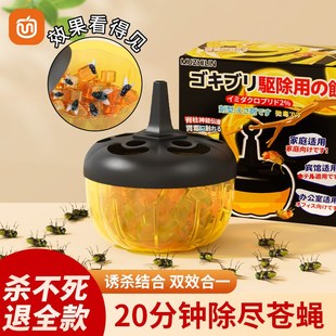 家用果蝇诱捕器自带诱饵球灭苍蝇贴强力粘蚊蝇纸板捕捉小飞虫神器