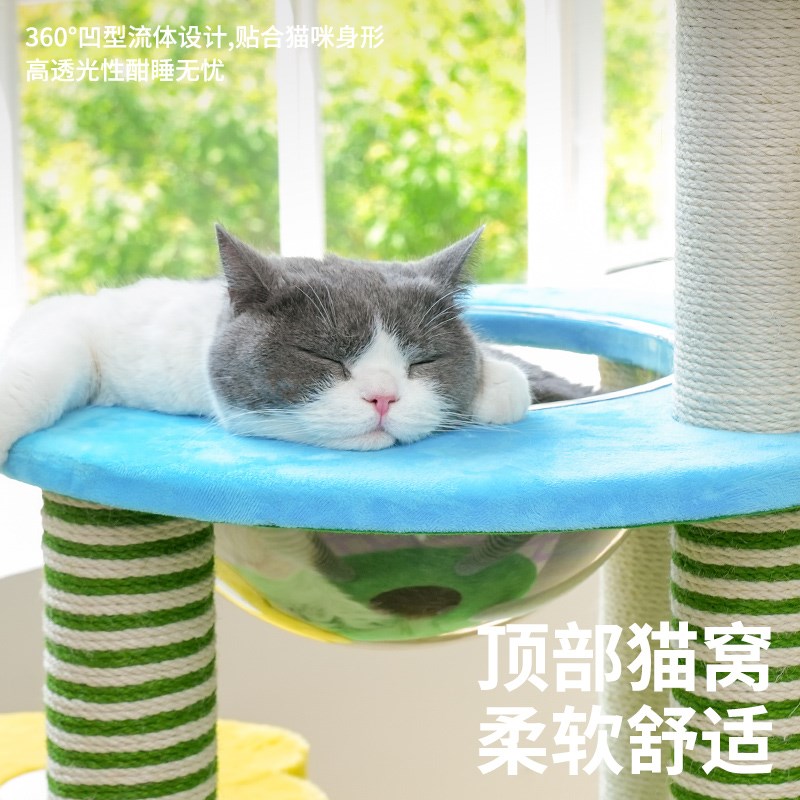 zeze花开游乐园猫爬架猫窝抓柱一体不占地跳台观景台大猫多猫可用