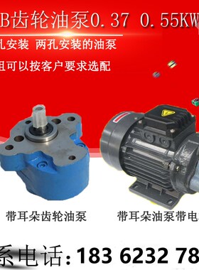 CBW-6/4/10液压润滑泵CB-B6/B4/B10/B2.5齿轮油泵电机YS7134/550W