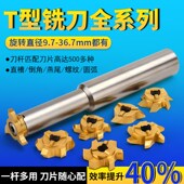 德国进口t型刀三刃六刃合金T型铣刀小孔槽刀旋风铣刀内孔铣槽刀片