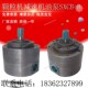 16双向齿轮泵SXCB B16 SXCB 25颗粒机减速机油泵NGWB B10