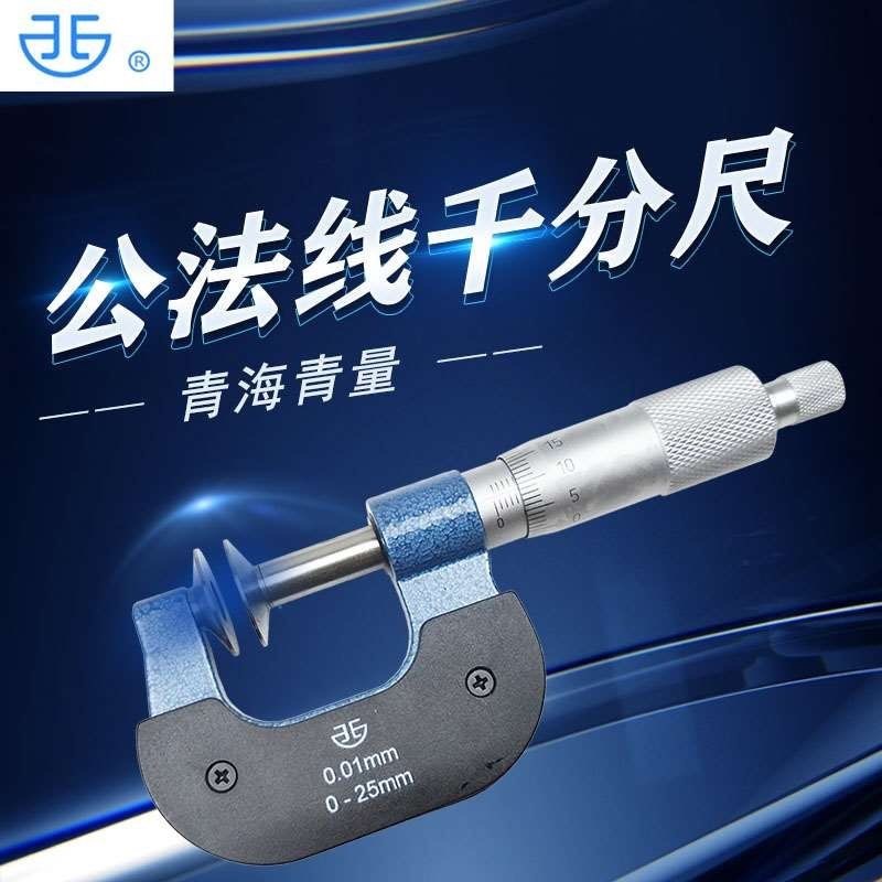 青海公法线千分尺 青量 0-25-50-75-100-125-350 分厘卡盘头
