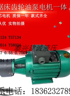 CB-B4/CB-B6/CB-B10JZ锯床齿轮油泵电机370W/550W金华龙达轻工