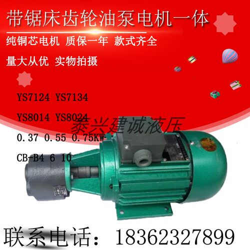 CB-B4/CB-B6/CB-B10JZ锯床齿轮油泵电机370W/550W金华龙达轻工