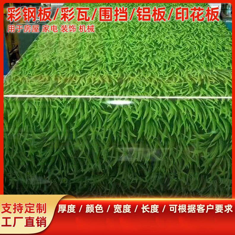 现货小草板 小草印花彩钢板 金属仿航拍小草板围挡板可加工